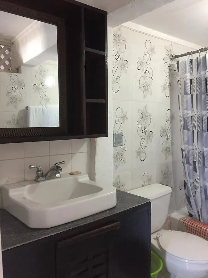 Cariblue Hotel & Scuba Resort 蒙特哥贝 3*,