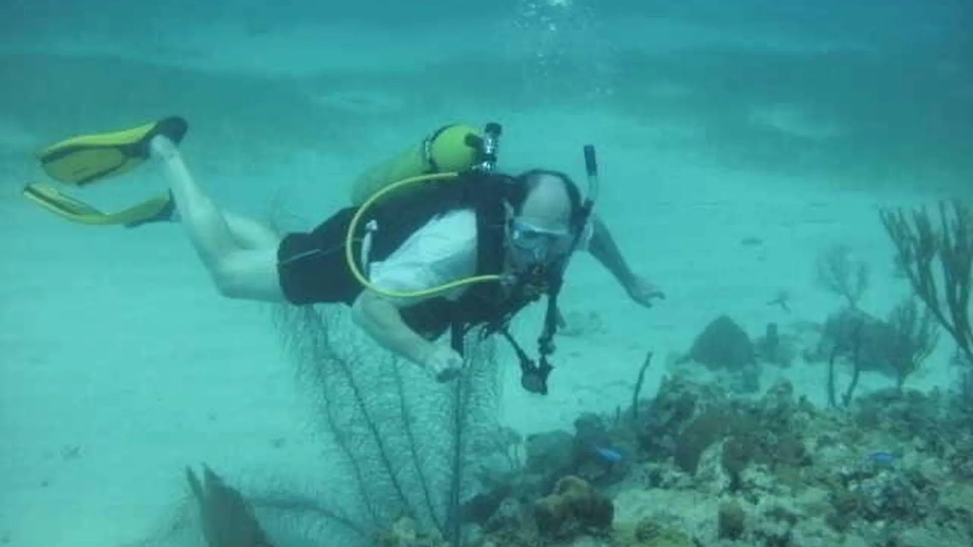 Cariblue Hotel & Scuba Resort Montego Bay