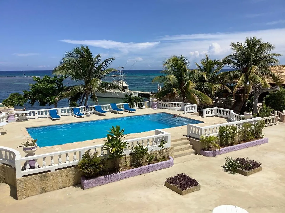 Cariblue Hotel & Scuba Resort contacts